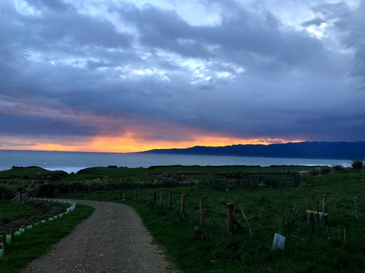 Toitoi Papatotara Bnb Exteriör bild