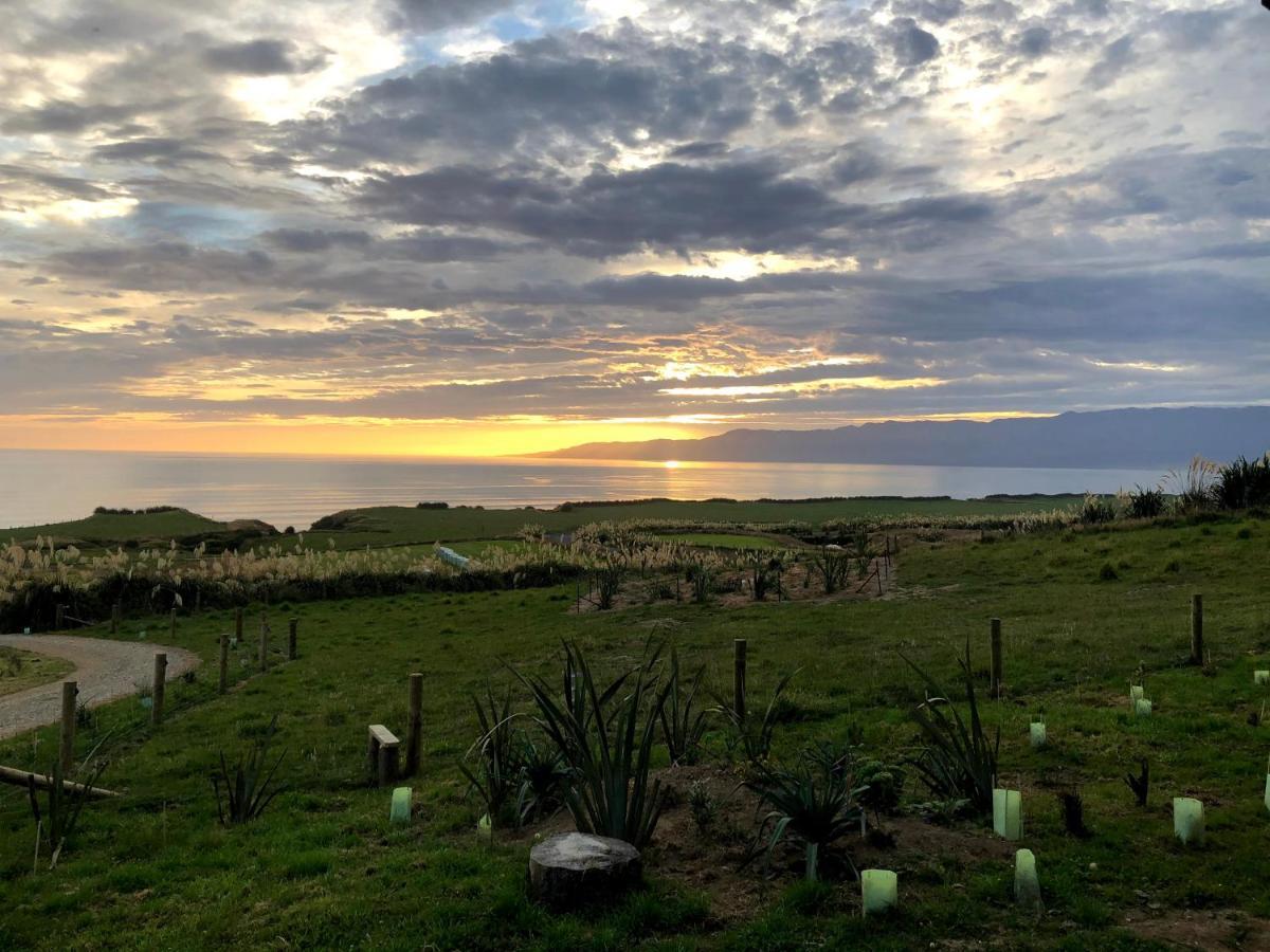 Toitoi Papatotara Bnb Exteriör bild