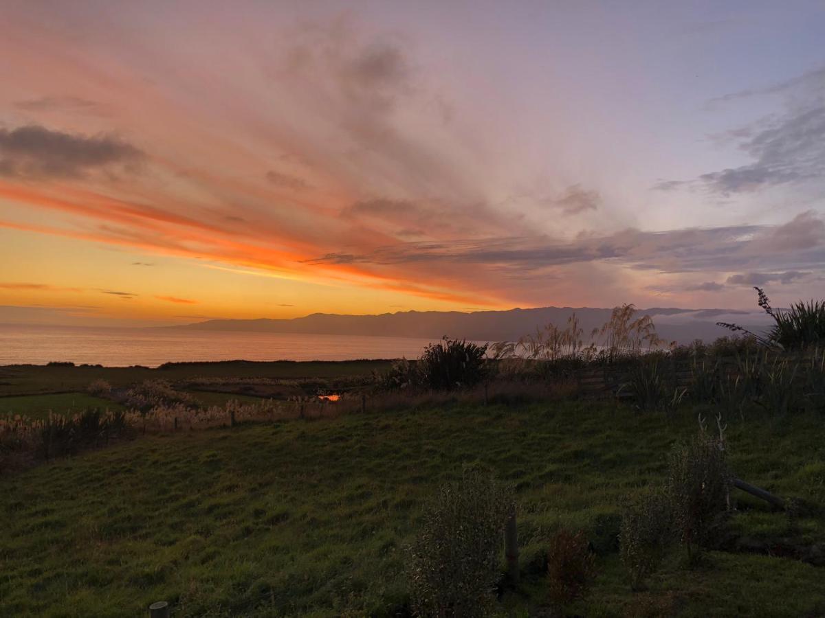 Toitoi Papatotara Bnb Exteriör bild